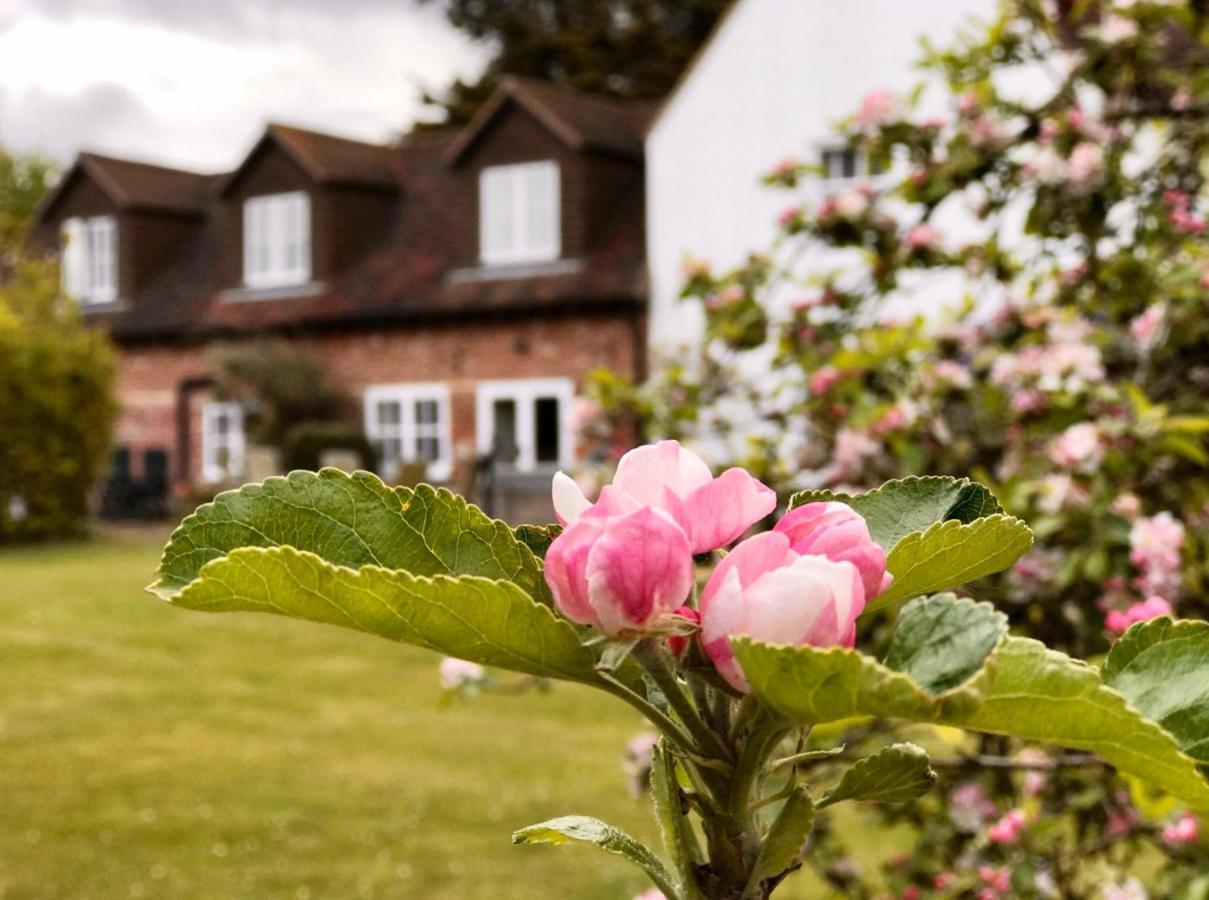 Hanger Down House Bed And Breakfast Arundel Exterior photo